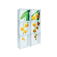 mo2JigM-den.ChrysotoxuNew[1]