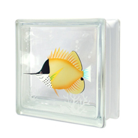 pmC0WYH-longnosebutterflyfish